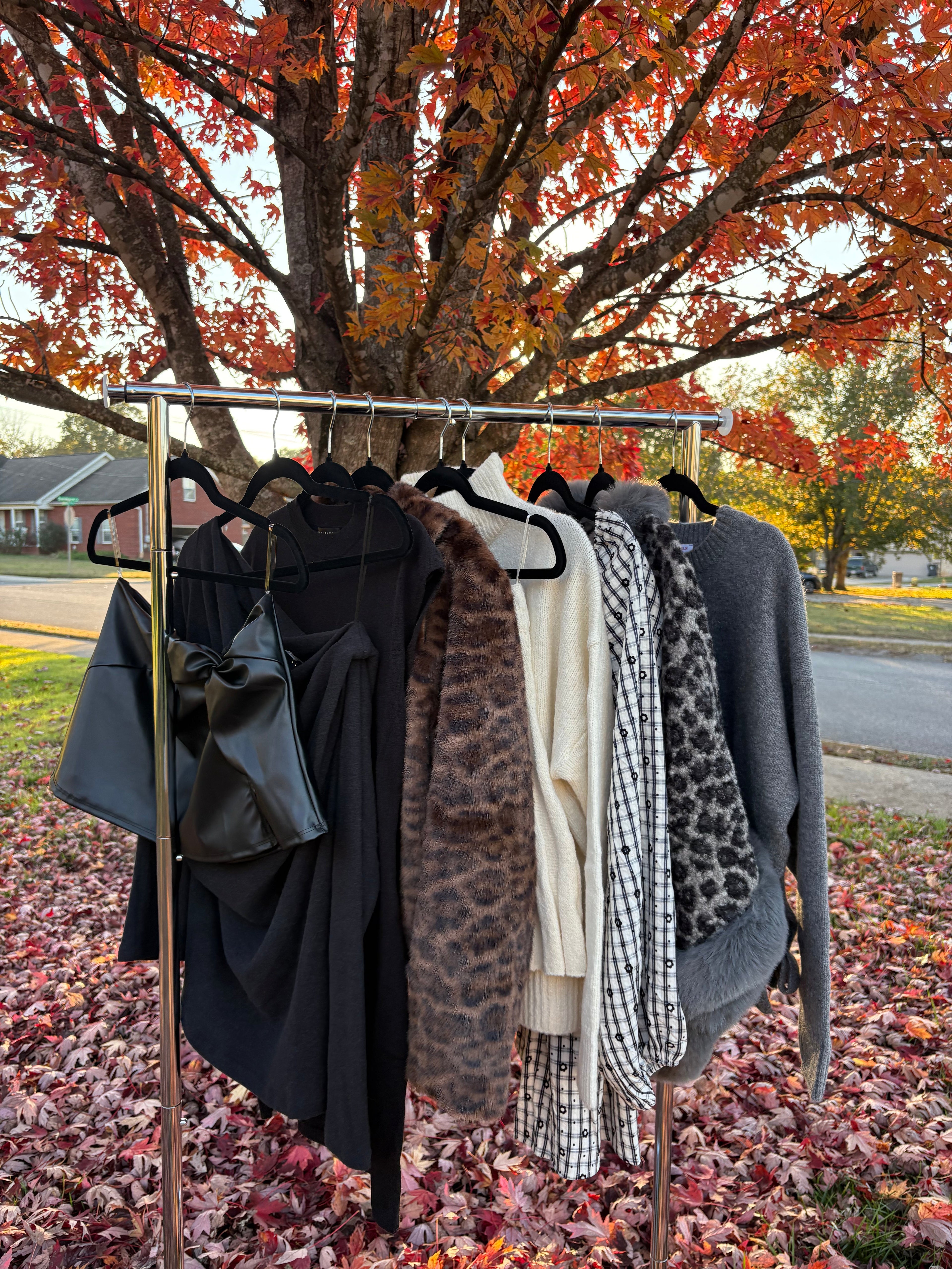 Bold Beginnings Collection